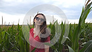Attractive cute girl in sunglasses with long brown hair standing in corn field, turning to camera and smiling. Portrait