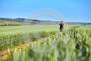 Attractive cyclist riding mountain bicyclist in the summer green field.