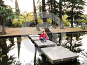 Attractive elegant girl in a red blouse posing in a park by the pond. Autumn day in the park. Blure effect