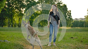 Attractive female throws a tennis ball to her dog to bring it back.