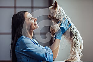 Doctor veterinarian at clinic photo