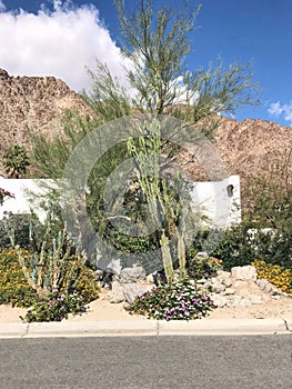 Attractive Front Yard Landscaping In La Quinta