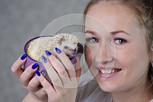 Attractive girl with an African pygmy hedgehog. A cute baby