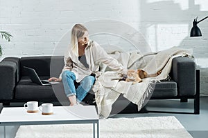 attractive girl palming cute red cat on sofa in living room