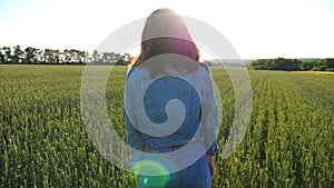 Attractive happy woman in sunglasses looking into camera. Young smiling girl standing among field with green wheat with