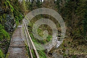 Attractive hike through the Hausbachklamm near Weiler im Allgau