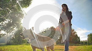 Attractive lady in jeans leads her doggy for a walk. Shooting in slow motion from a low angle.