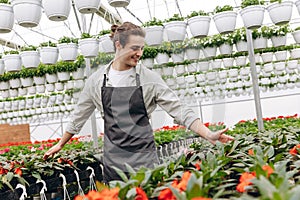 Attractive male florist, wearing apron and working in garden centre, selling flowerpots