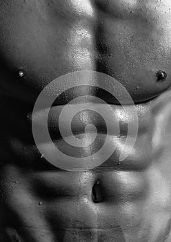 Attractive male sexy wet body close up. Banner templates with muscular man, muscular torso, six pack abs muscle. Black