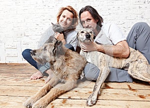 Attractive man and his young wife with pets, two dogs and a cat, a family portrait