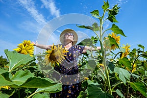 Attractive middle age woman in straw hat with arms outstretched in sunflower field, celebrating freedom. Positive emotions feeling