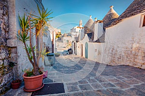 Attractive morning view of strret with trullo trulli -  traditional Apulian dry stone hut with a conical roof.