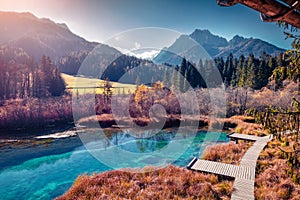 Attractive morning view of Zelenci nature reserve. Sunny autumn scene of Julian Alps, Kranjska gora, Slovenia, Europe.