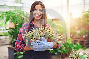 Attractive nursery owner in her greenhouse