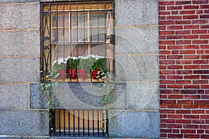 Attractive outdoor window dressing