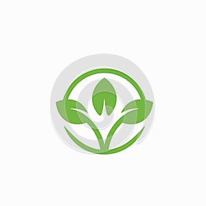Attractive Plant Logo Design Inspiration With Circle