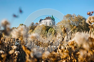 Attractive postcard of Olesko castle. Location Lviv region, Ukraine, Europe