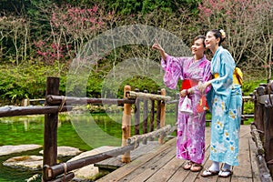 Attractive pretty female travelers wearing kimono