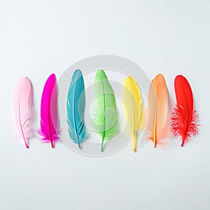 A vibrant, colorful spectrum of feathers against a white background.