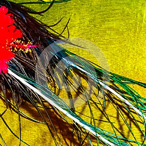 Attractive Red Flower, Peacock Feather And Yellow Background. Happy Krishan Janmashtami Or Happy Radhaashtami.