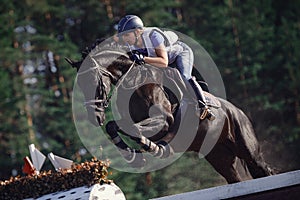 Attractive rider woman jumping over obstacle on black horse during eventing cross country competition in summer