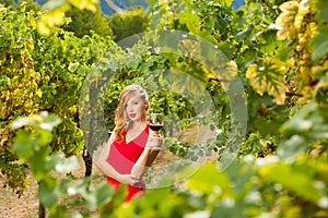 Attractive stylish woman drinking glass of red wine in vineyard