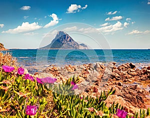 Attractive summer view of Tavolara island from Porto Taverna beach. Nice morning scene of Sardinia island, Italy, Europe. Amazing