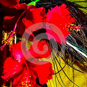 Attractive Three Red Flowers, Peacock Feather And Yellow Background. Happy Krishan Janmashtami Or Happy Radhaashtami.