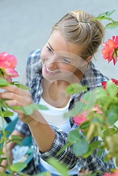attractive woman choosing flowers
