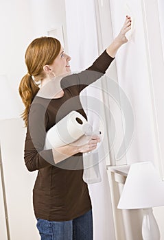 Attractive woman cleaning