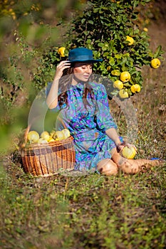 Attractive woman with full basket colecting fruits posing at plantation of quinces