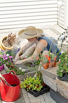 Attractive woman potting up nursery seedlings