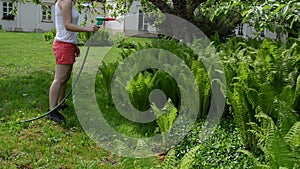 Attractive woman watering ferns with hand sprayer sprinkler tool