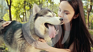 Attractive Young Blonde Woman Play With Purebred Siberian Husky Dog Stroking,