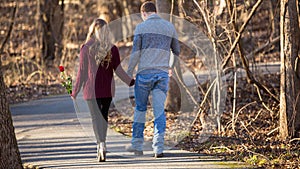 Attractive young couple walking away from viewer on path