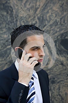 Attractive Young Executive on Cell Phone