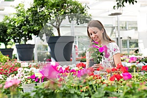 Attractive young girl buying impatiens plants