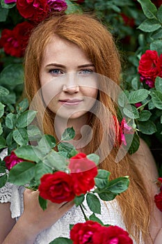 Portrait of a pretty redhead girl dressed in a white light dress on a background of blooming roses. Outdoor