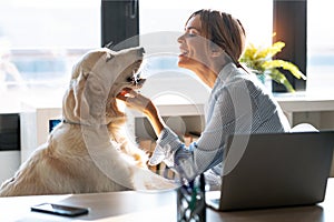 Attractive young woman caring her beautiful dog while working with laptop in living room at home