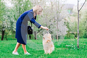 Attractive young woman holding dog spitz outside and smiling at camera, walking in the park