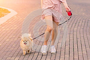 Attractive young woman holding dog spitz outside and smiling at camera, walking in the park.