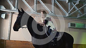 Attractive young woman stroking horse. Blonde in casual clothes and stallion in manege