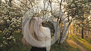 Attractive young woman in sweater, jeans is dance and spinning among blossom apple tree. Sunset, spring orchard and