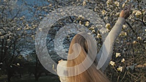 Attractive young woman in sweater, jeans is dance and spinning among blossom apple tree. Sunset, spring orchard and