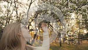 Attractive young woman in sweater, jeans is dance and spinning among blossom apple tree. Sunset, spring orchard and