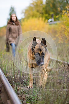 Attractive young woman walking with her dog German shepherd at autumn forest, near rail way - pet is in focus