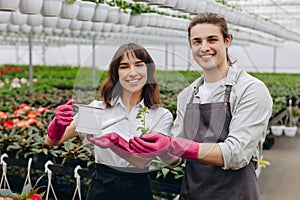 Attractive young woman watering young plant in soil in hands of florist in greenhouse