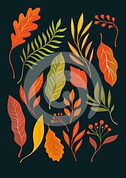 Atumnal leaves, vector illustration. Set yellow, orange, red autumnal leaves on black