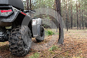 ATV awd quadbike motorcycle back pov view near tree in coniferous pine foggy forest with beautiful nature landscape