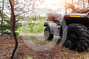 ATV awd quadbike motorcycle pov view near tree in coniferous pine foggy forest with beautiful nature landscape morning